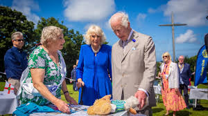 Image result for Wombles Netball Club