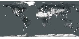 Attēlu rezultāti vaicājumam “Didymium squamulosum spores”