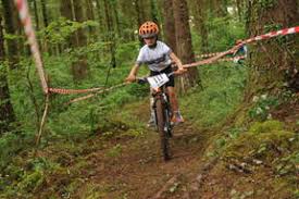 Image result for Taw Velo