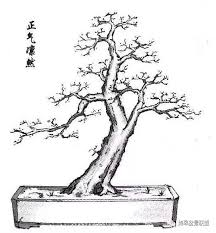 Image result for 艰苦阅历 孔泰初