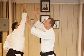 Image result for Matlock Aikido Club