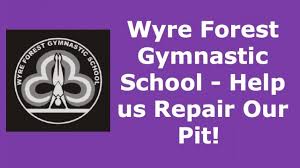 Image result for Wyre Forest School Of Gymnastics