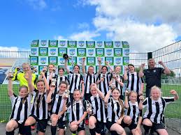 Image result for Sherborne Town Football Club