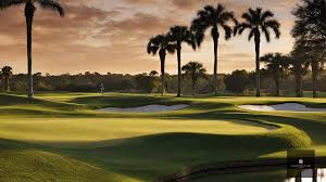 Image result for The Combe Martin Institute Club