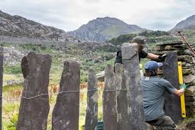 Image result for Llandudno, Oval Bowling Club
