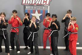 Image result for Impact Martial Arts