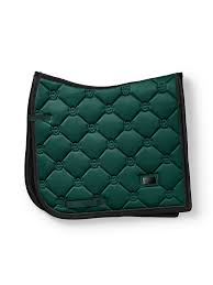 Image result for Patchett`s Green Riding Club