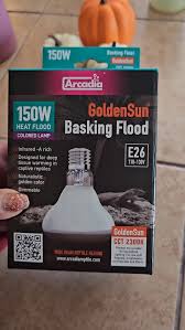 Risultati immagini per arcadia basking solar flood