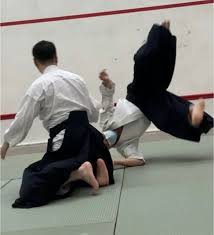 Image result for Kyu Shin Kan, Leicester Aikido