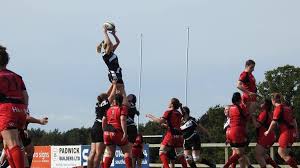 Image result for Pulborough Cricket Club