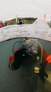 Image result for Barnsley BSAC Divers