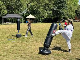 Image result for HEIWA SHOTOKAN KARATE CLUB