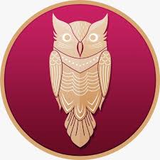 Image result for owl illuminati symbol