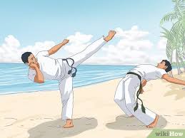 Image result for Capoeira Massive