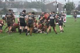 Image result for Pembroke Dock Harlequins RFC