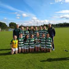 Image result for Sarsfield Gfc