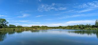 Image result for Bideford and District Angling Club