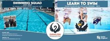 Image result for Kingsbridge Kingfishers Swimming Club