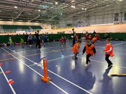 Image result for Newport (Salop) Cricket Club