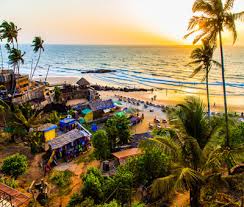 Image result for goa beaches