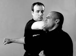 Image result for Midlands Wing Chun