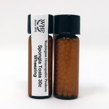 Attēlu rezultāti vaicājumam “Spongia”