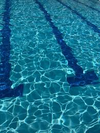 Image result for Bridgwater Amateur Swimming Club