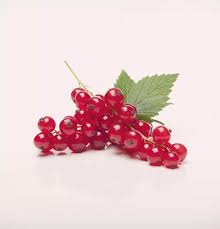 Bildergebnis für rote johannisbeeren