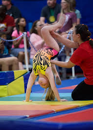 Image result for Avondale Gymnastics Club