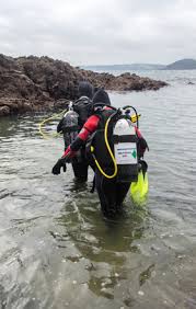 Image result for Surrey Aquanauts B S A C 0689