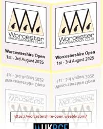 Image result for Dublin Backgammon Club