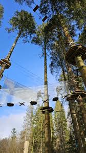 Image result for Go Ape! Grizedale