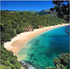 Image result for new chums beach