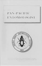 Attēlu rezultāti vaicājumam “Blepharidopterus angulatus imago”