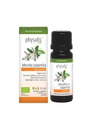 Image result for Menta x piperita