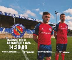 Image result for Bangor City Bowls Club