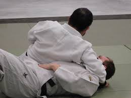 Image result for Court Lane Judo Club
