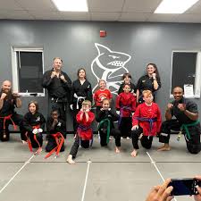 Image result for Action Karate