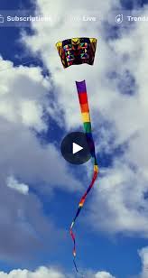 Image result for Baiter Power Kite