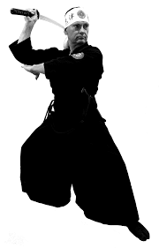 Image result for Central London Ninjutsu
