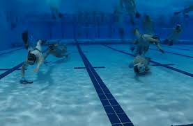 Image result for Ealing Octopush Club