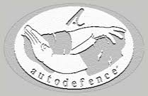 Image result for Derby Autodefence Wing Tchun