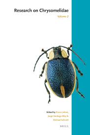 Attēlu rezultāti vaicājumam “Chrysomelidae”