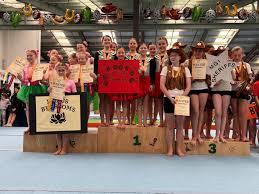 Image result for Aero Gymnastics Club