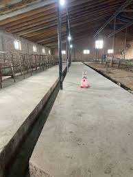 Image result for Империя Кошар