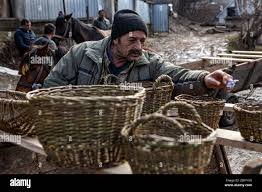 Image result for Wicker Camp