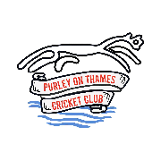 Image result for Purley Cricket Club
