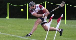 Image result for Sean Treacy`s Hurling Club