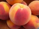 Peaches Image Cooking with Amy: A Food Blog: All about Peaches Picture 4