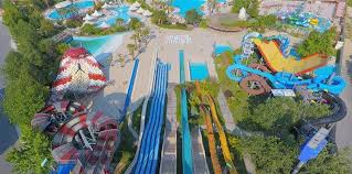 Image result for Dolphin Sub Aqua